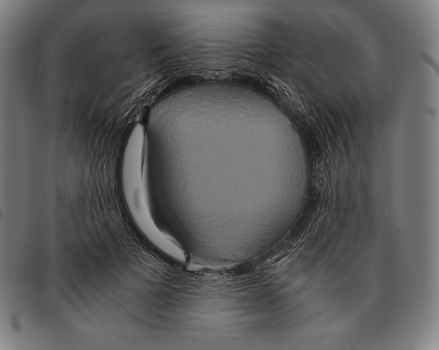 X0000095120697200801041223