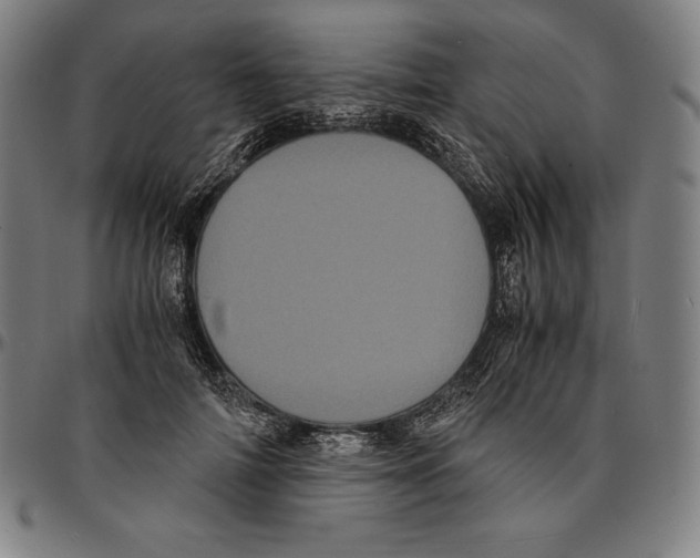 X0000095120698200801041223