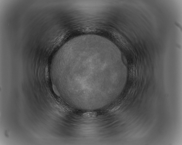 X0000095120700200801041223