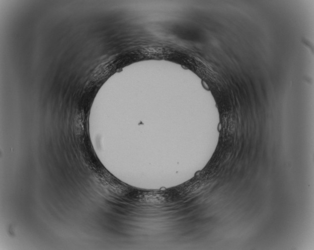 X0000095120702200801041223