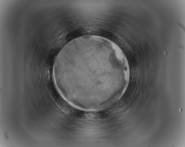 X0000095120703200801041223