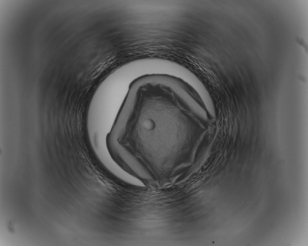 X0000095120704200801041223