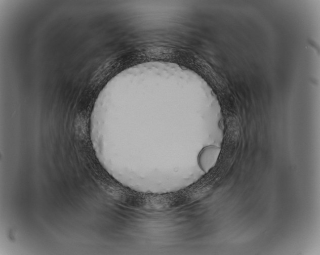 X0000095120705200801041223