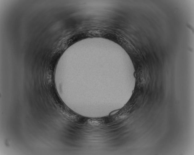 X0000095120706200801041223