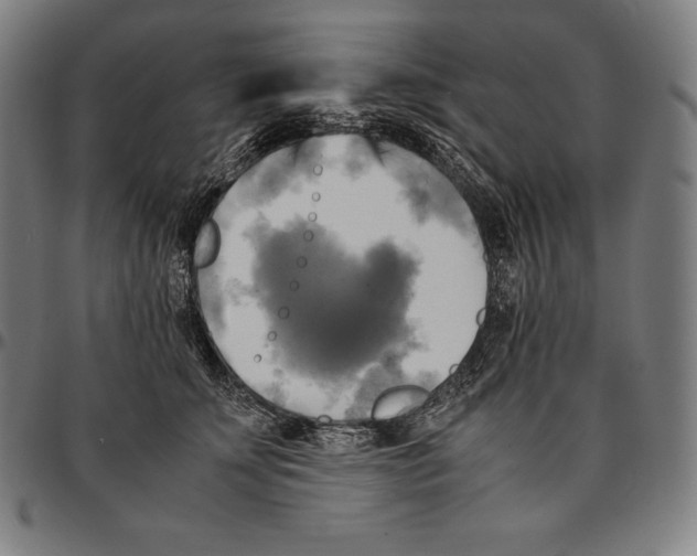 X0000095120707200801041223