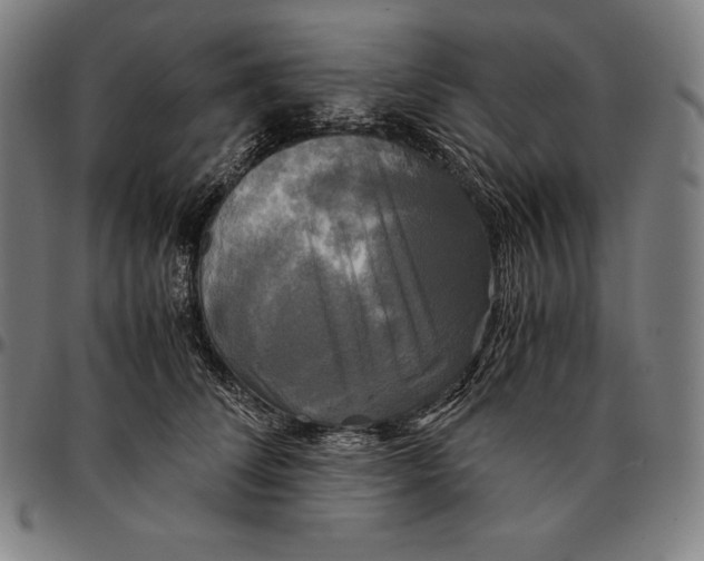 X0000095120708200801041223