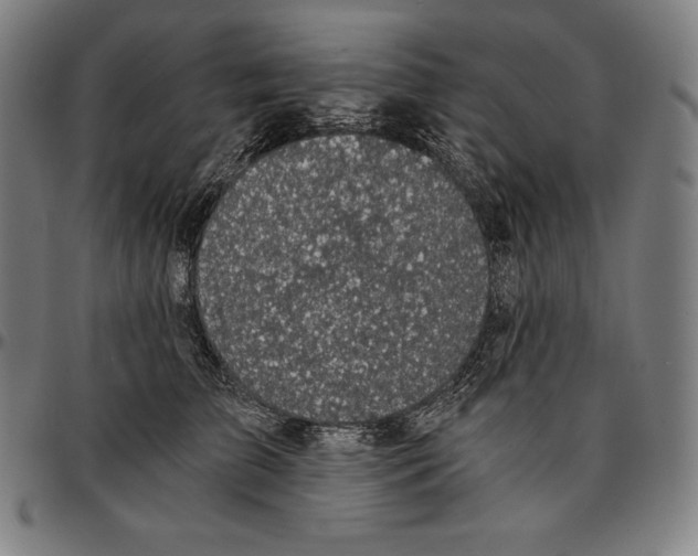 X0000095120709200801041223