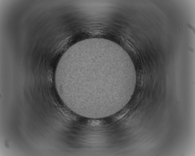 X0000095120710200801041223