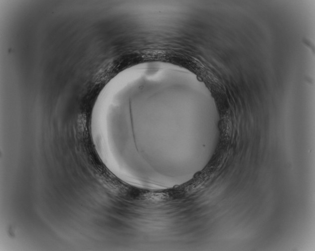 X0000095120711200801041223