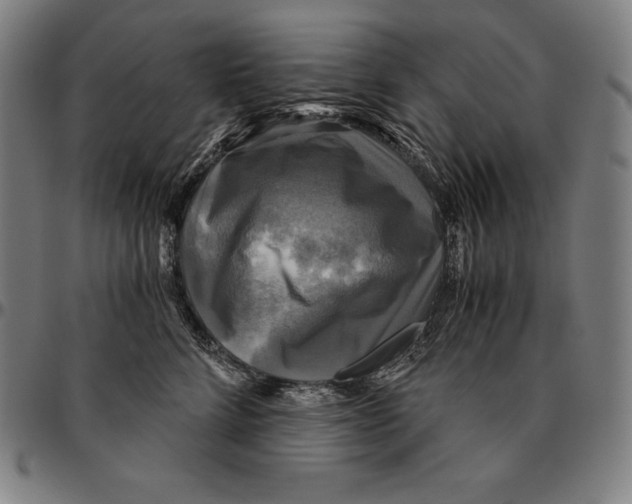 X0000095120712200801041223