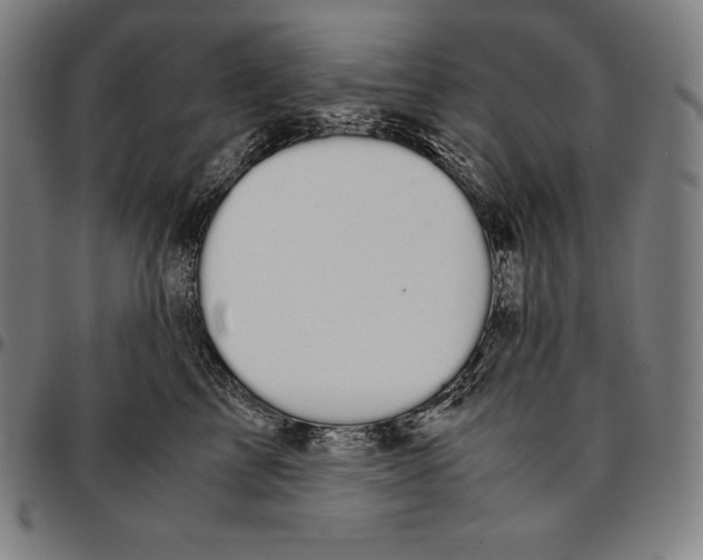 X0000095120713200801041223