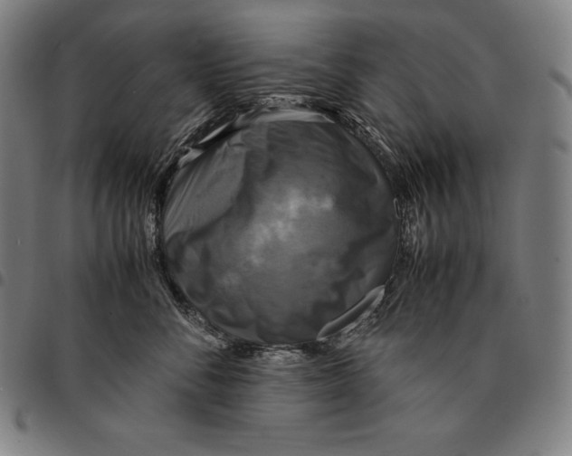 X0000095120716200801041223