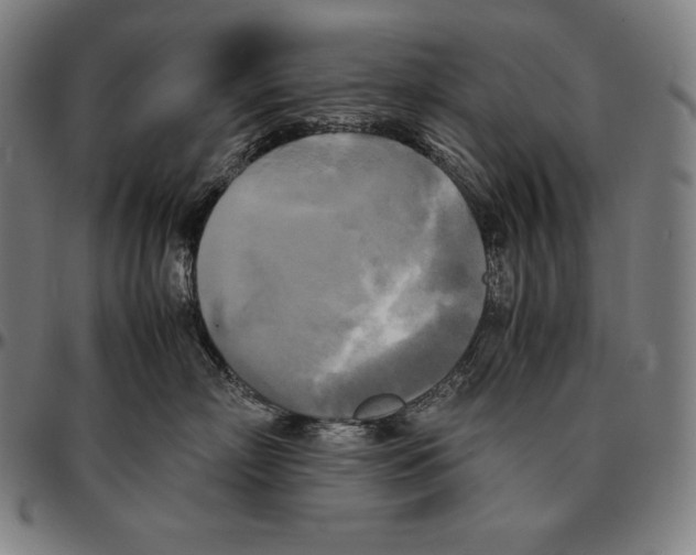 X0000095120718200801041223