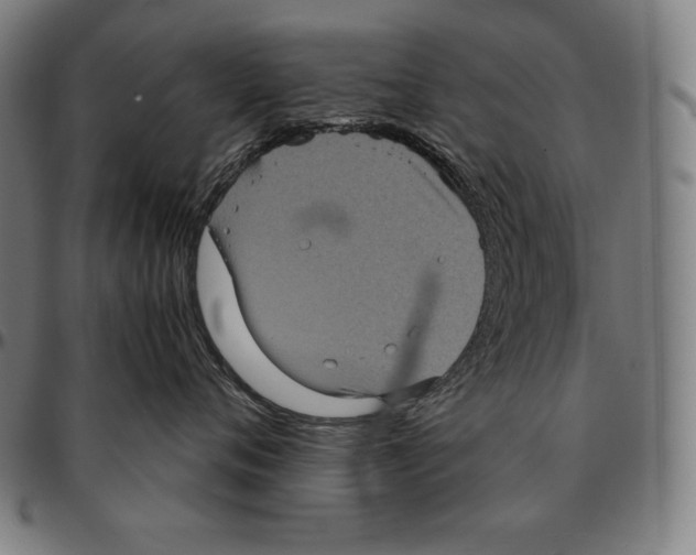 X0000095120720200801041223