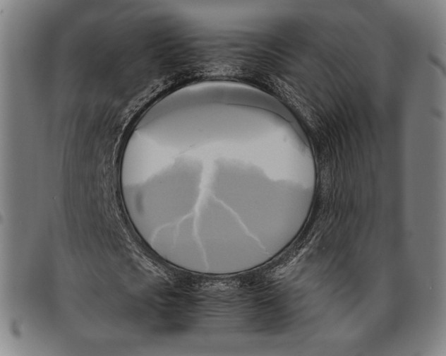 X0000095120721200801041222