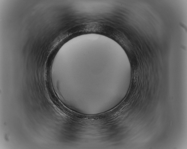 X0000095120722200801041222