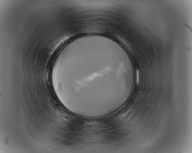 X0000095120723200801041222