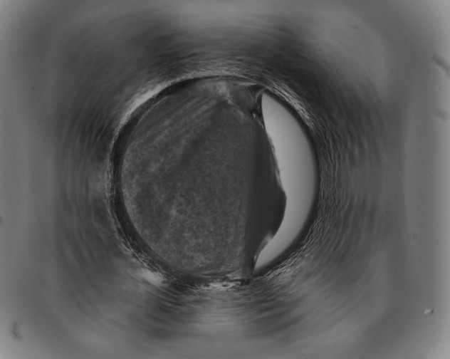 X0000095120724200801041222