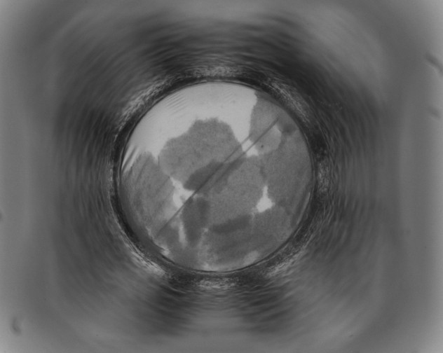 X0000095120725200801041222