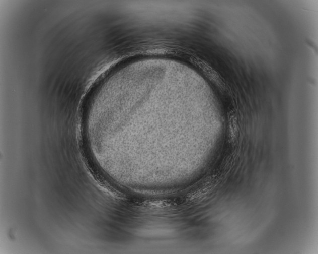 X0000095120728200801041222