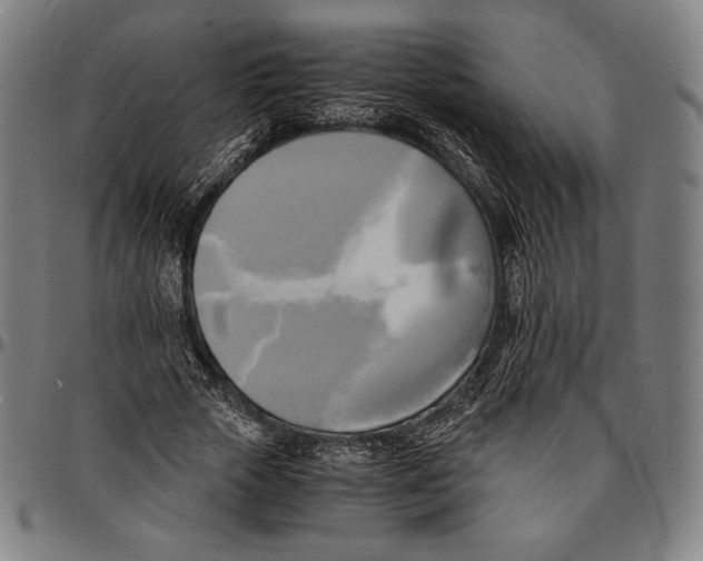 X0000095120729200801041222