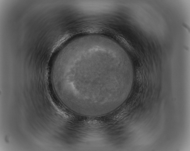 X0000095120730200801041222