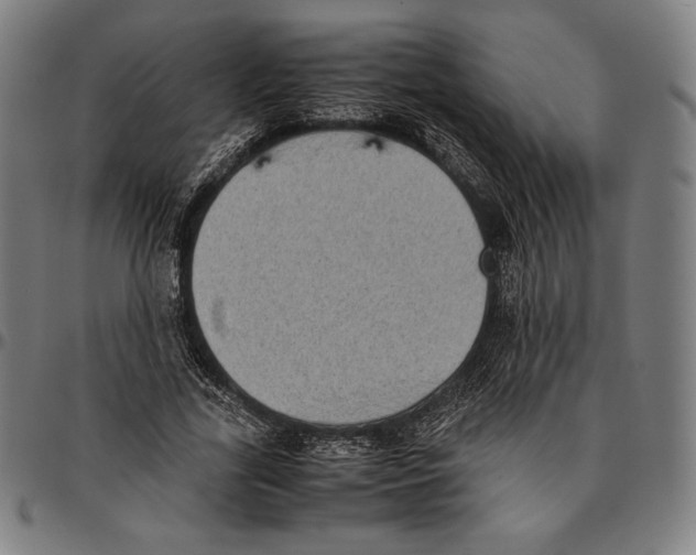 X0000095120731200801041223