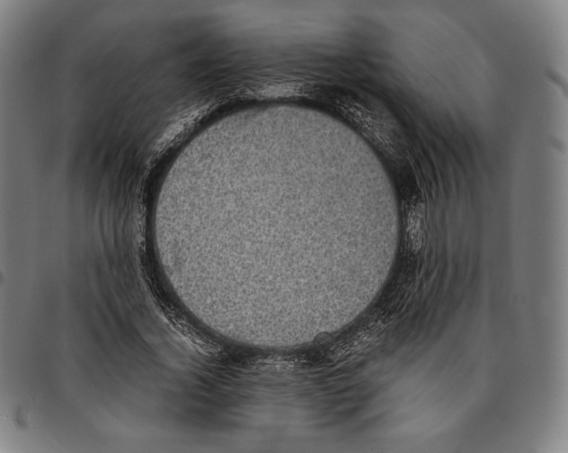 X0000095120732200801041223