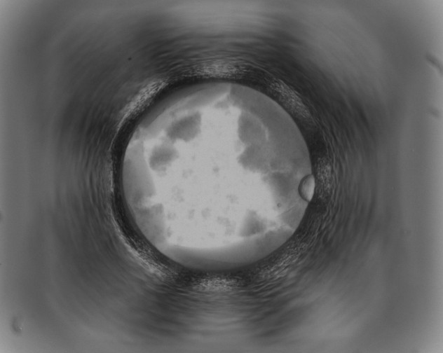 X0000095120734200801041223