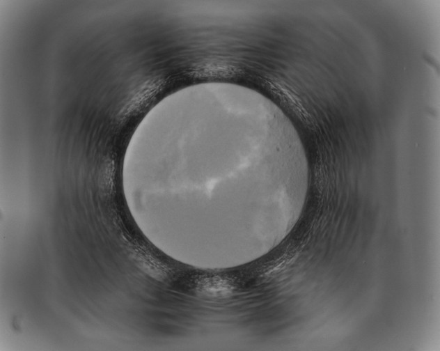 X0000095120735200801041223