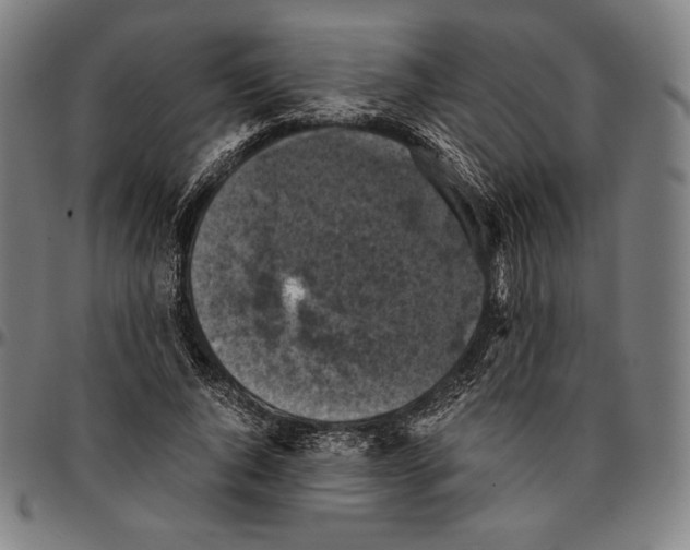 X0000095120736200801041223