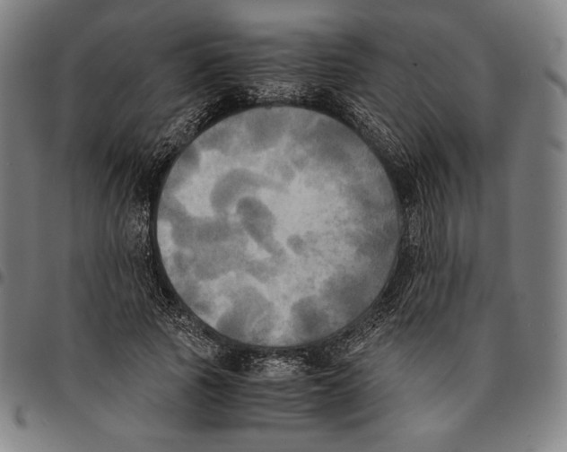 X0000095120737200801041223