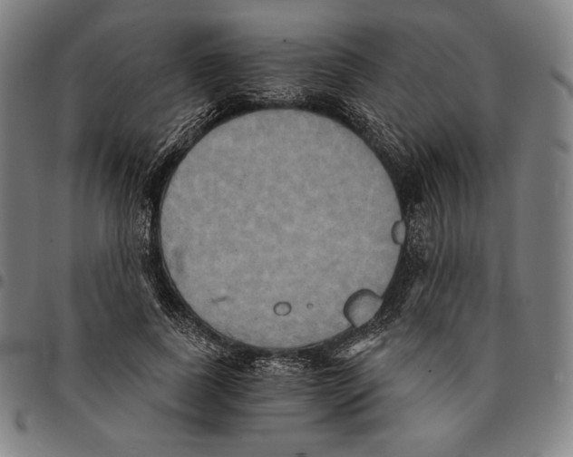 X0000095120739200801041223