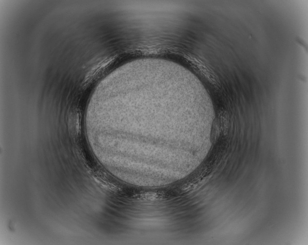 X0000095120740200801041223