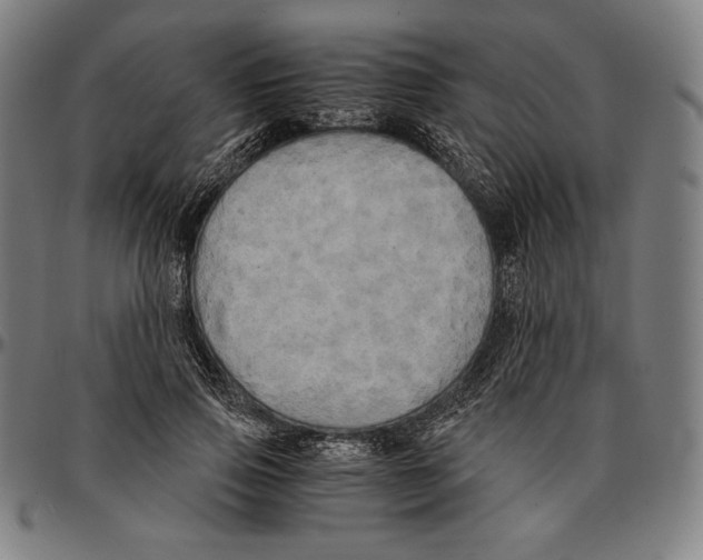 X0000095120741200801041223