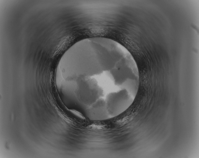 X0000095120742200801041223