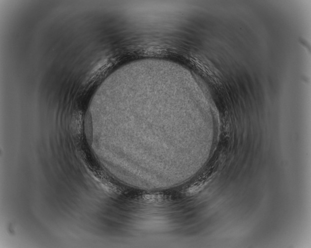 X0000095120744200801041223