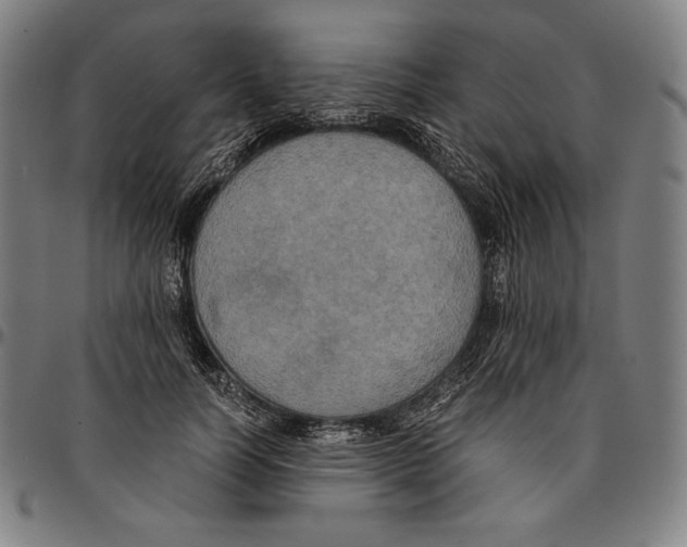 X0000095120746200801041223