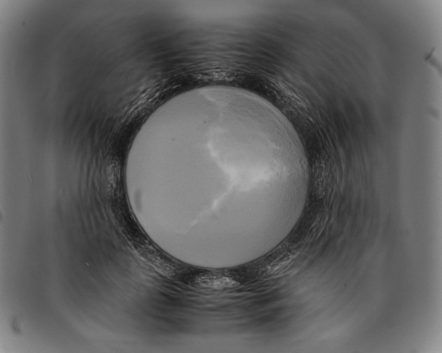 X0000095120747200801041223