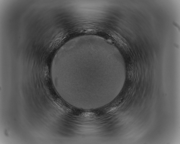 X0000095120748200801041223