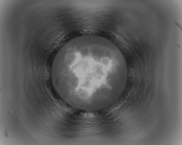 X0000095120751200801041223