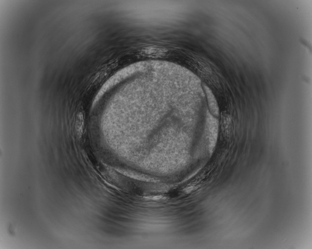 X0000095120752200801041223