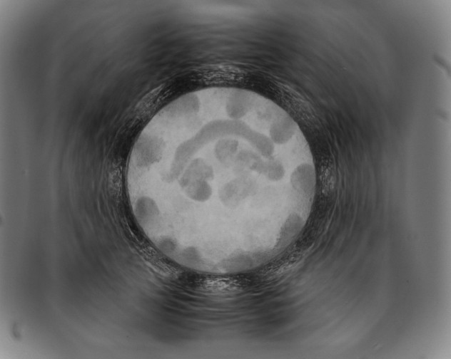 X0000095120753200801041223