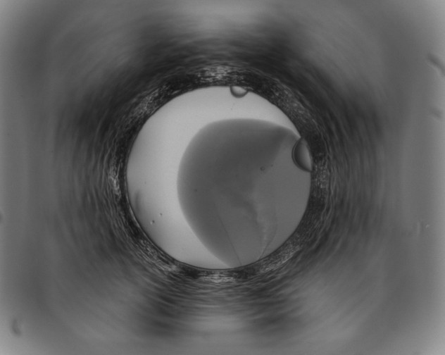 X0000095120754200801041223