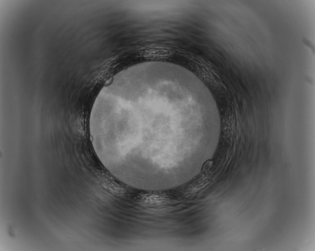 X0000095120755200801041223