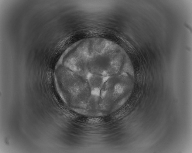 X0000095120757200801041223