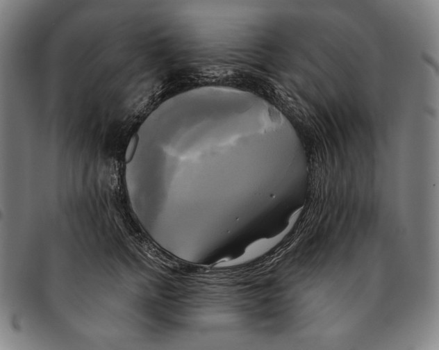 X0000095120758200801041223