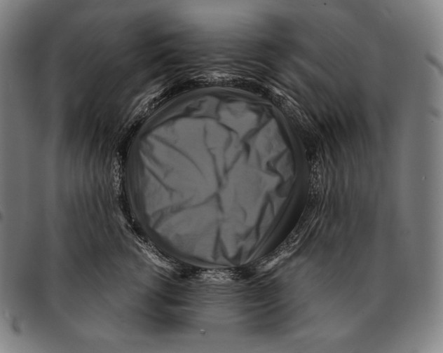 X0000095120762200801041223