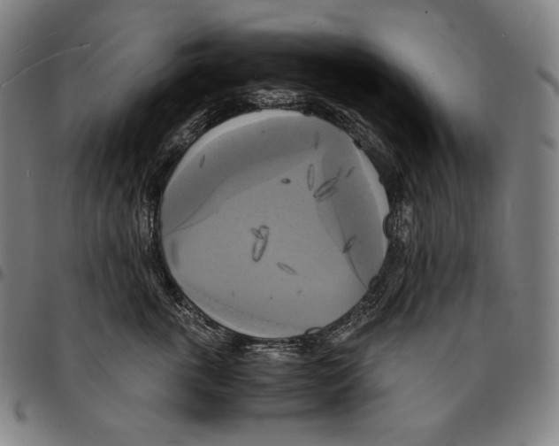 X0000095120763200801041223