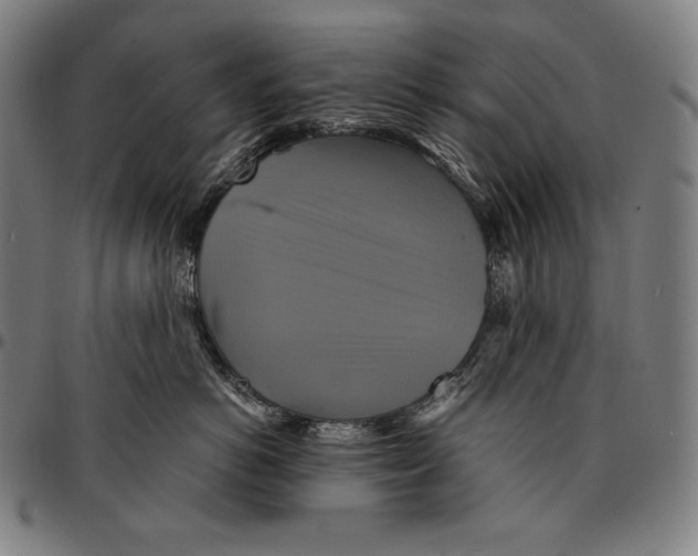 X0000095120766200801041223